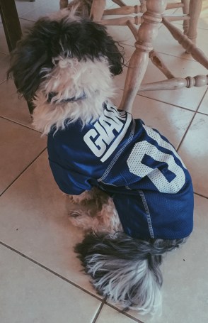 Processed with VSCO with p5 preset