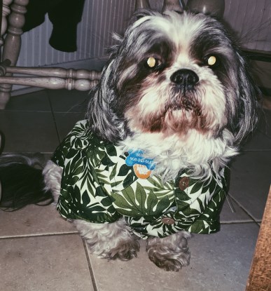 Processed with VSCO with p5 preset