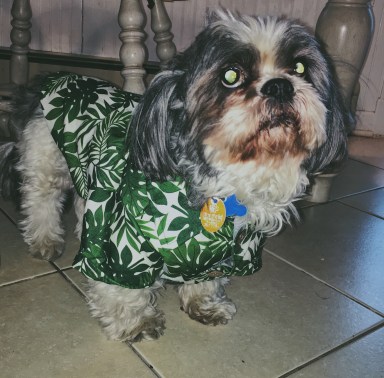 Processed with VSCO with f2 preset