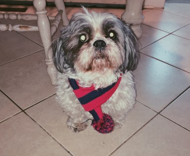 Processed with VSCO with p5 preset