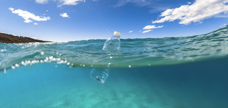 Screen Shot 2018-10-15 at 12.11.25 AM